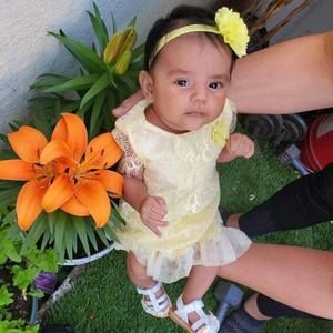 Meet your Posher, Luisa